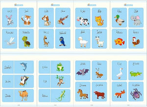 Arabic Magic Book