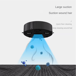 Automatic Sweeping Robot